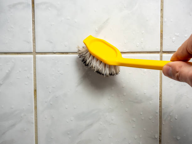 Best Residential Mold Removal  in Malaga, NJ