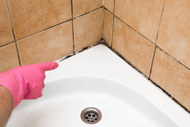 Best Certified Mold Removal  in Malaga, NJ